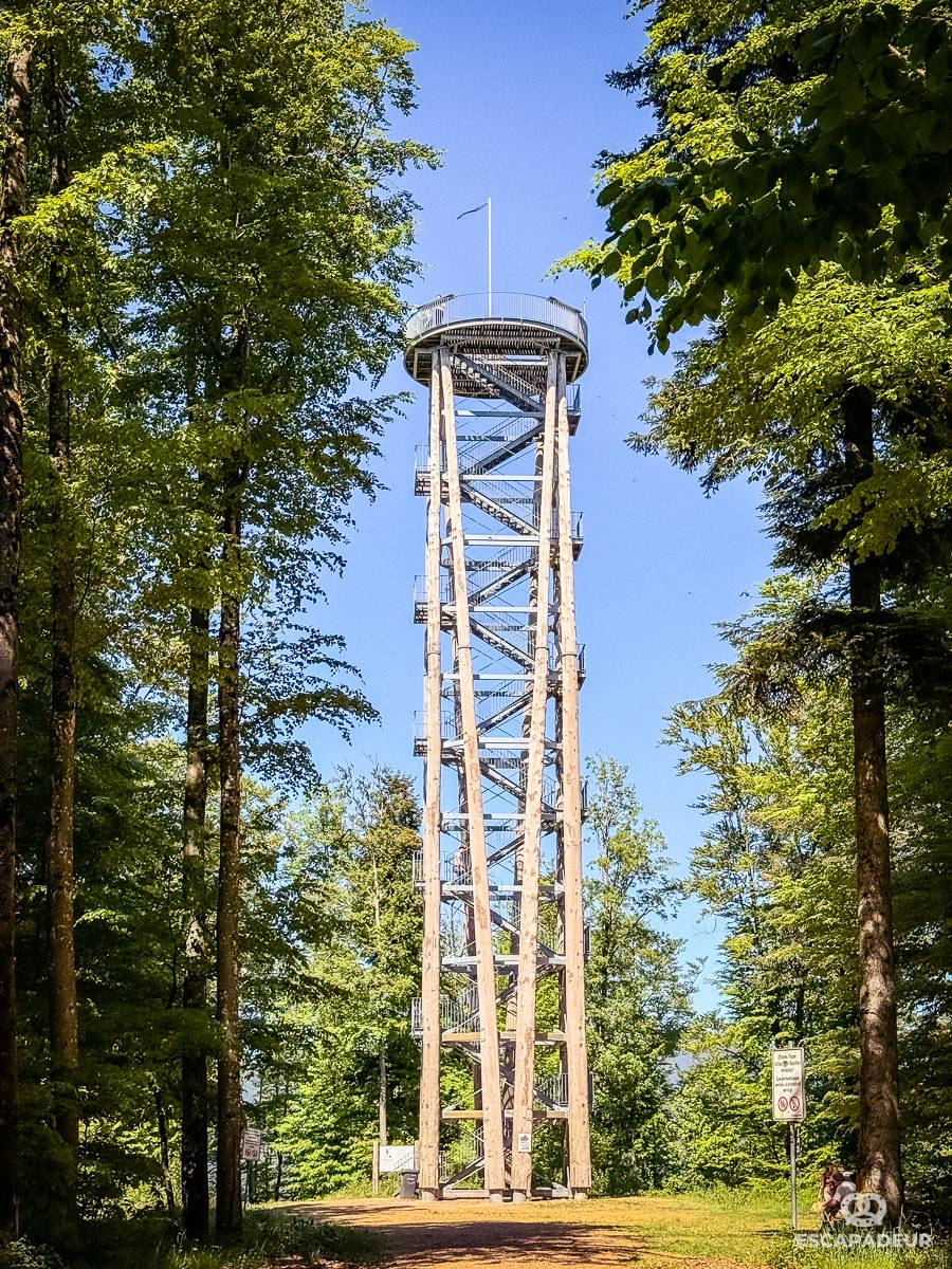 Haslach im Kinzigtal - Randonnée en Forêt-Noire - Urenkopfturm