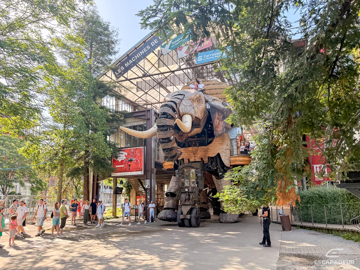 Nantes - Machines de l'ile et Grand Éléphant