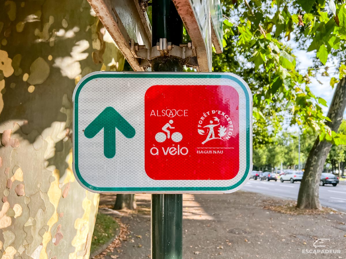 Haguenau - Gare - Balisage Alsace à Vélo
