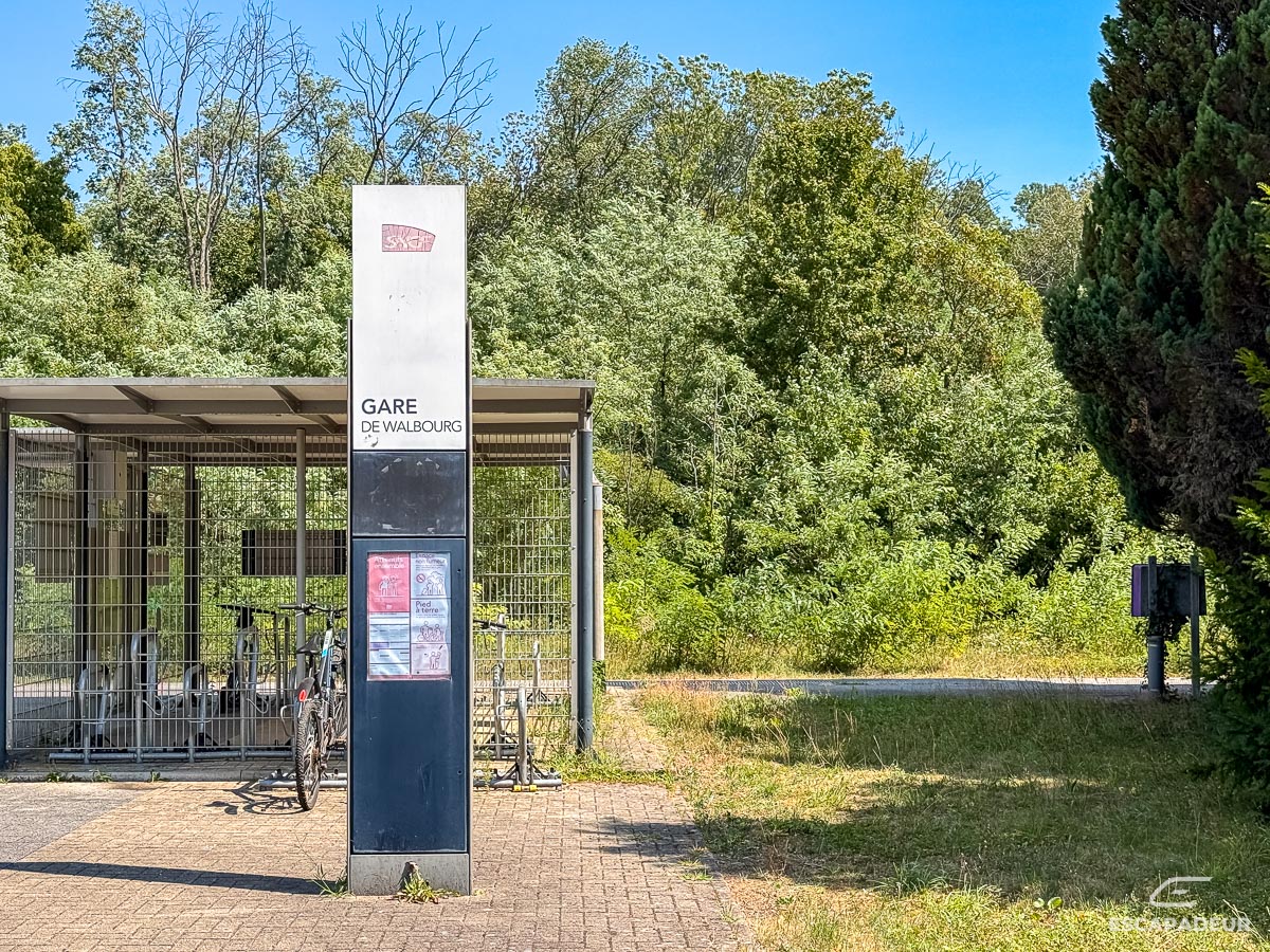 Walbourg - Gare