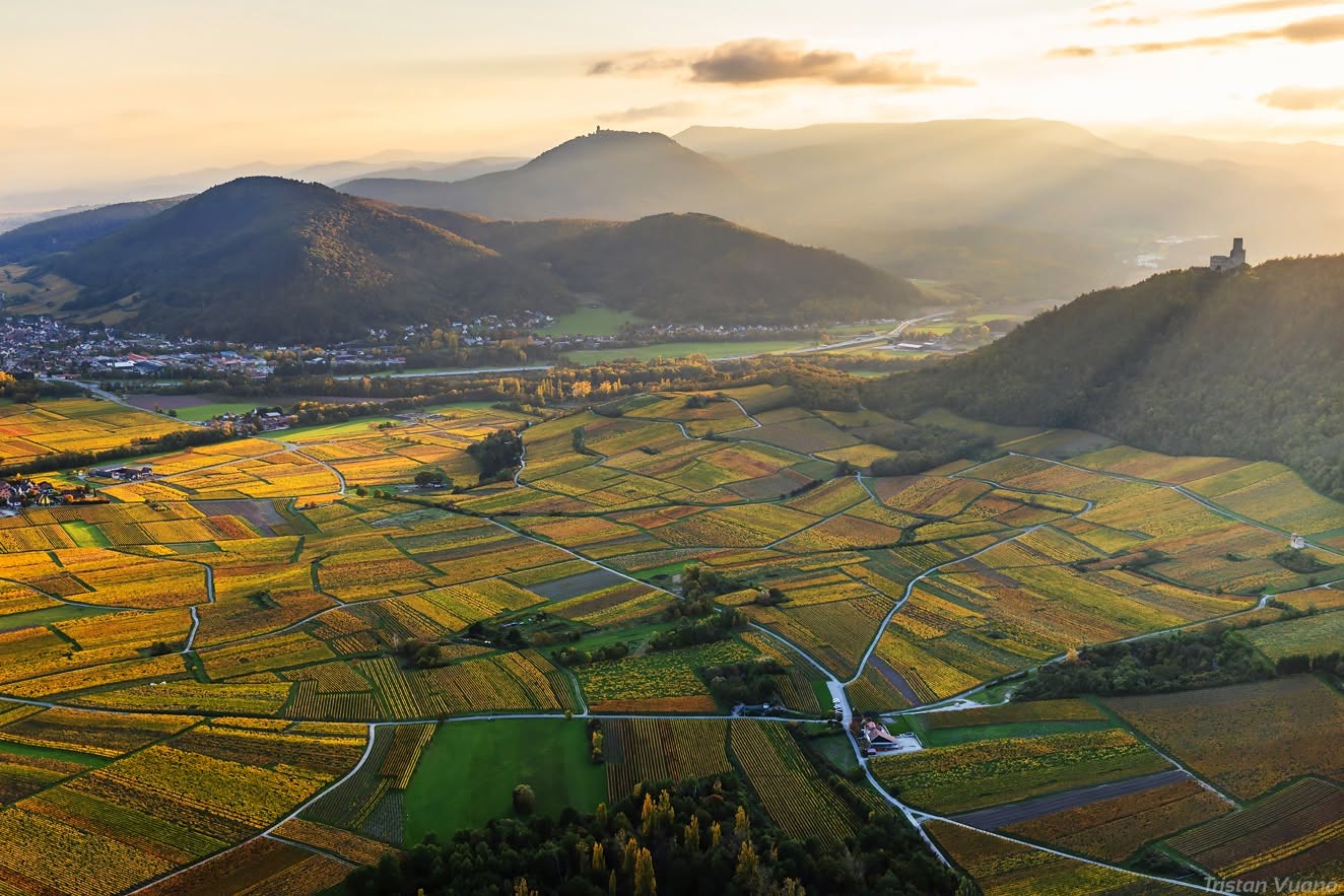 Haut-Kœnigsbourg depuis la Route des Vins d Alsace - Tristan Vuano